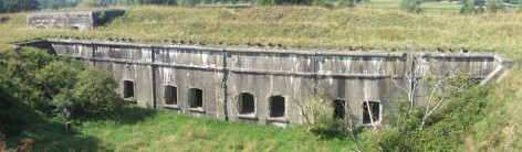 Fort Haasdonk